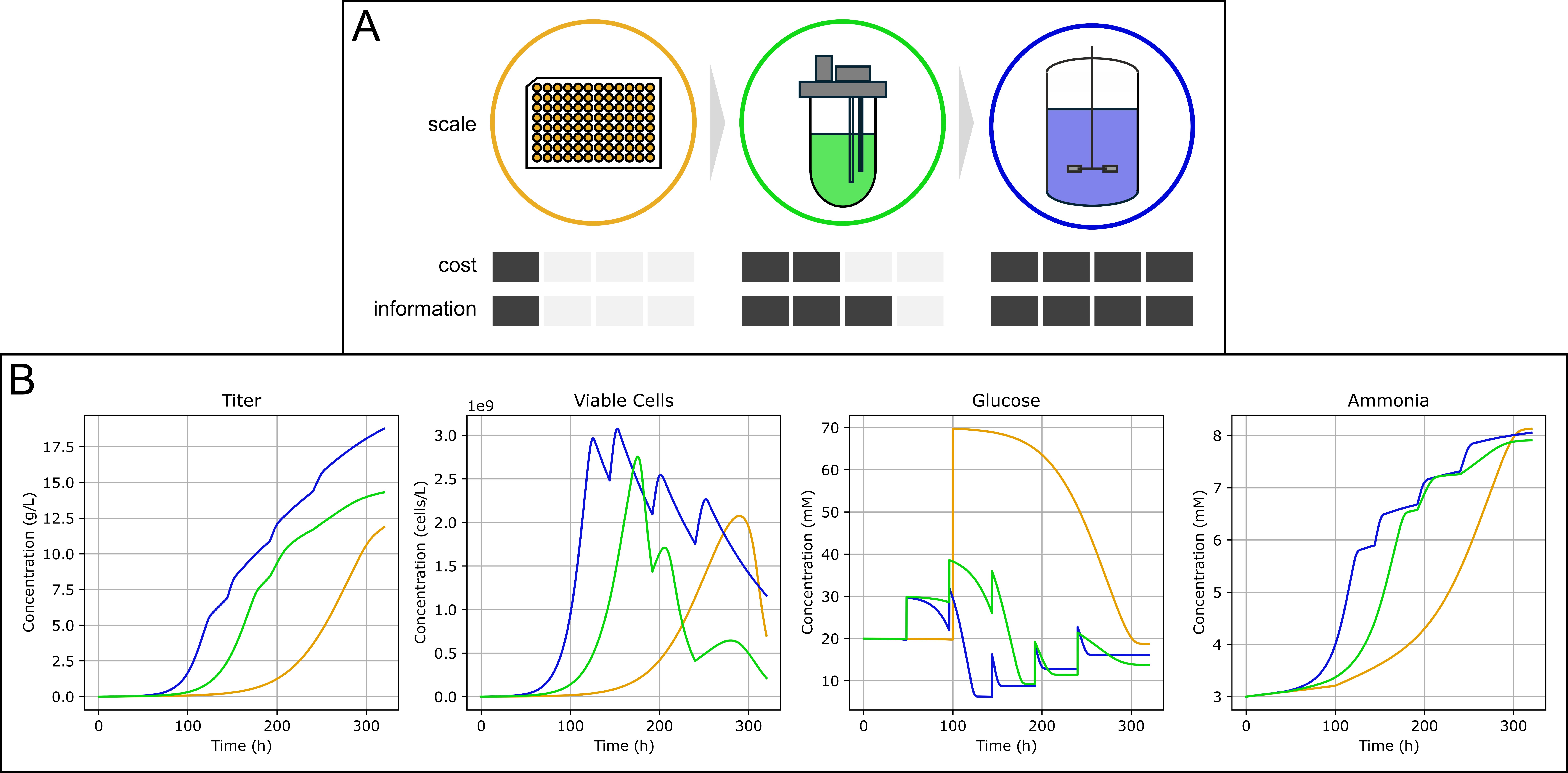 Exemplary scenario with three different scales in bioprocess optimisation. A) Overview of different costs and levels of information that can be gained from a single experiment in microtiter plates (yellow), lab-scale reactors (green) and pilot scale reactors (purple). B) Process data for the same initial conditions between the different scales, where the one-time bolus feed for the microtiter plate contains the same amount of glucose as the cumulated feeds at the larger two scales.